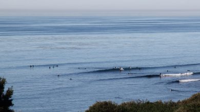 Swamis in encinitas surf spot