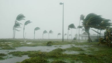 key west, florida, hurricane dennis